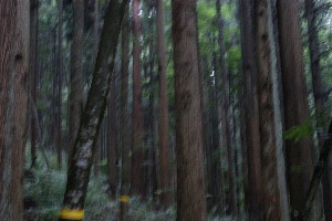 2009/07/15 َRw_15