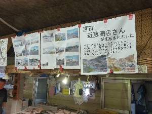 - 20111105- APhoto_17