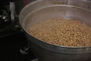 2009/02/15 ���薡�X������_9
