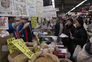 2009/02/15 ���薡�X������_13