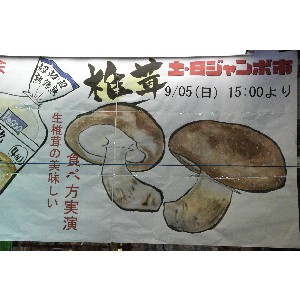 2010/09/05 -őH X ܐ݂ -_1