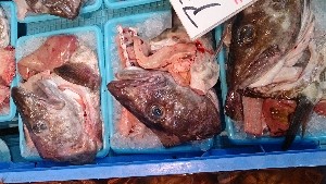 20140215 - T̔ł -_27