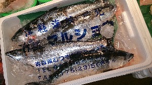 20140215 - T̔ł -_30