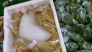 20140629   - T̔ł -_10