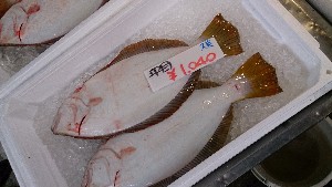 20140629   - T̔ł -_16