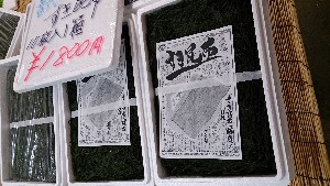 20140629   - T̔ł -_19