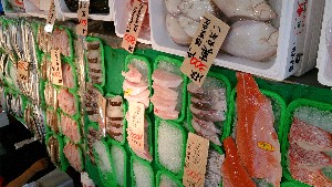 20140629   - T̔ł -_27