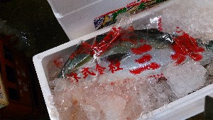 20140629   - T̔ł -_33