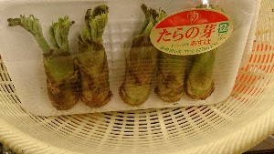 20150307@-T̔ł-_18