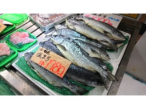 20161229 - T̔ł -_57