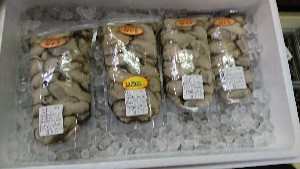 20170114 -@T̔ł -_57