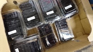 20170121 -@T̔ł -_29