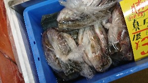 20170121 -@T̔ł -_38