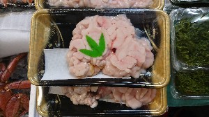 20170204 - T̔ł -_59