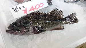 20170211 - T̔ł-_39