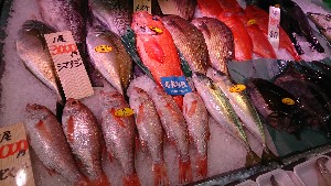 20170211 - T̔ł-_59