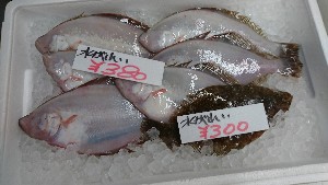 20170304 - T̔s@|_30