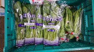 20170114 -@T̔ł -_1