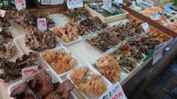 202040929Kinoko-2