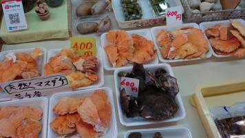 202040929Kinoko-15