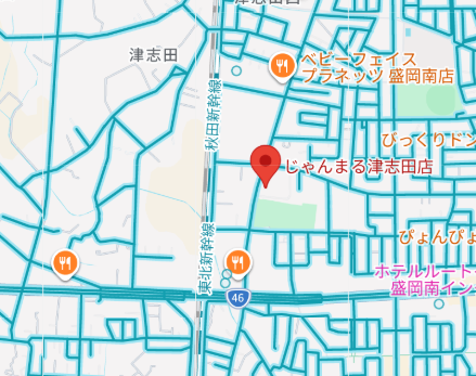 じゃんまる津志田店周辺地図