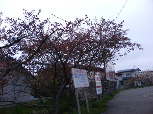 2006/05 -劘7- B肽߂Ă̂ł_5
