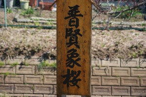 20140425 -劘̍-_4