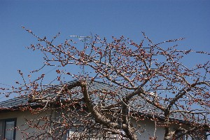 20140425 -劘̍-_5