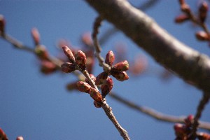20140425 -劘̍-_6