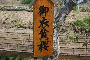 20140425 -劘̍-_7