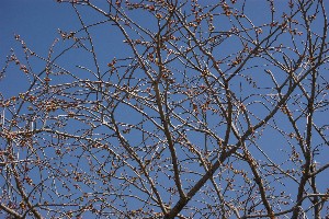 20140425 -劘̍-_8