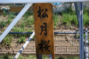 20140425 -劘̍-_10