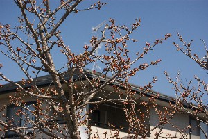20140425 -劘̍-_20