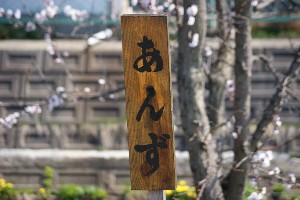 20140425 -劘̍-_22