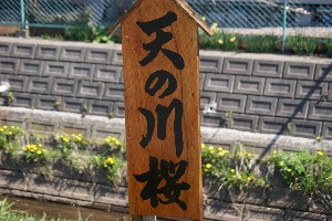 20140425 -劘̍-_25