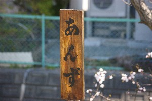 20140425 -劘̍-_28