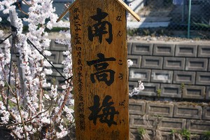 20140425 -劘̍-_31