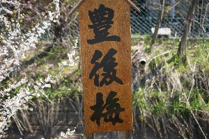 20140425 -劘̍-_34