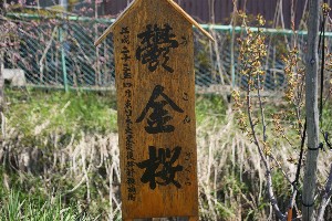 20140425 -劘̍-_37