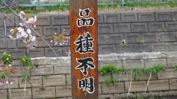 20230415