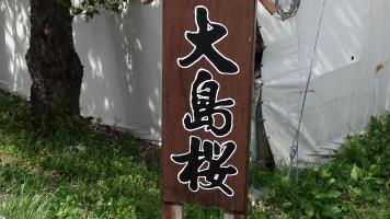 202304122