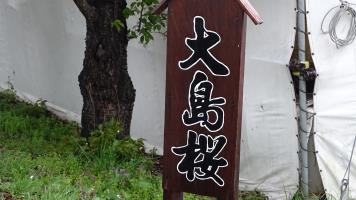 202304126