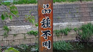 20230502