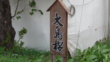 20250502�̍��̏󋵂ł�-1