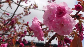 20250502�̍��̏󋵂ł�-15