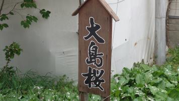 20250505�̍��̏󋵂ł�-1