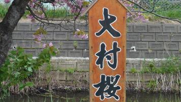 20250506�̍��̏󋵂ł�-19