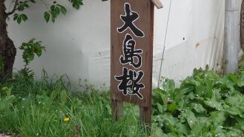 20250507�̍��̏󋵂ł�-1
