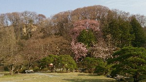 DSC_1753.jpg