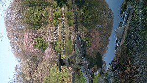 DSC_1756.jpg